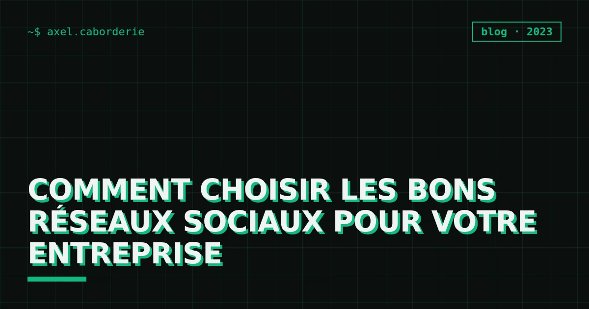 Comment choisir les bons réseaux sociaux pour votre entreprise