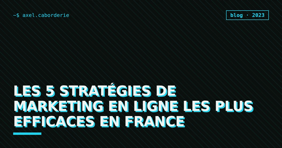 Les 5 stratégies de marketing en ligne les plus efficaces en France